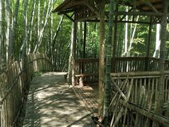 -宁波浙东大竹海景区