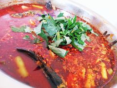 -彭大姐老店黄辣丁(新津店)