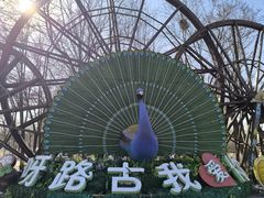 -呀路古热带植物园