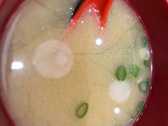 -食其家·牛丼咖喱(太阳宫店)