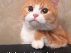 -倒拐香耗儿鱼(西体店)