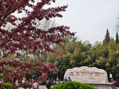 -莲花池公园
