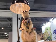 -上海跨国采购会展中心
