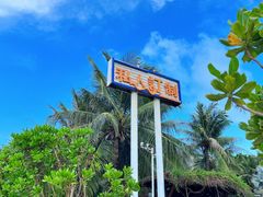 -三亚蜈支洲岛旅游区