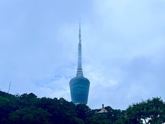 -梧桐山风景名胜区