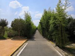 -武汉紫薇都市田园