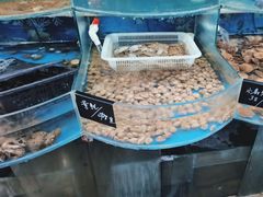 -鑫渔港海鲜本地菜·山海关浑锅(东戴河店)