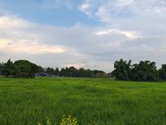 -蜀绣公园
