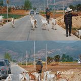 大理丽江周边小众的沙溪古镇