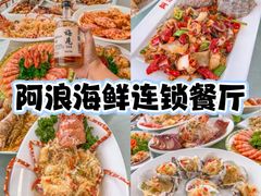 -亚龙湾热带天堂森林公园