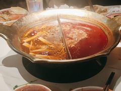 -九鼎轩脆毛肚火锅(三钢里店)