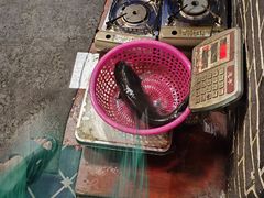 -古城苗家土菜馆(河景餐厅店)