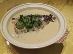 -长兴岛郊野公园农场食堂