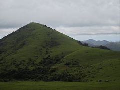 -大姆山草场