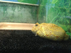 9.7-上海大自然野生昆虫馆