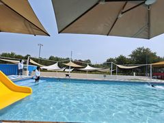 -爪吧宠物乐园 (温榆河示范区店)