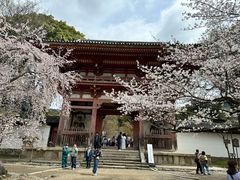 -醍醐寺