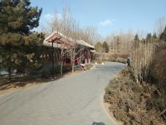 -北坞公园