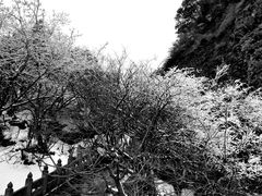 -武当山风景区