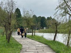 -宁波杭州湾国家湿地公园