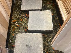 -邈墨茶馆(凤起路店)