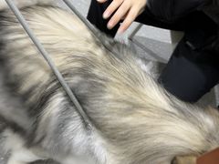 -心仪动物医院·牙专科·肿瘤·心脏科(西客站院)