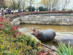 -合肥野生动物园