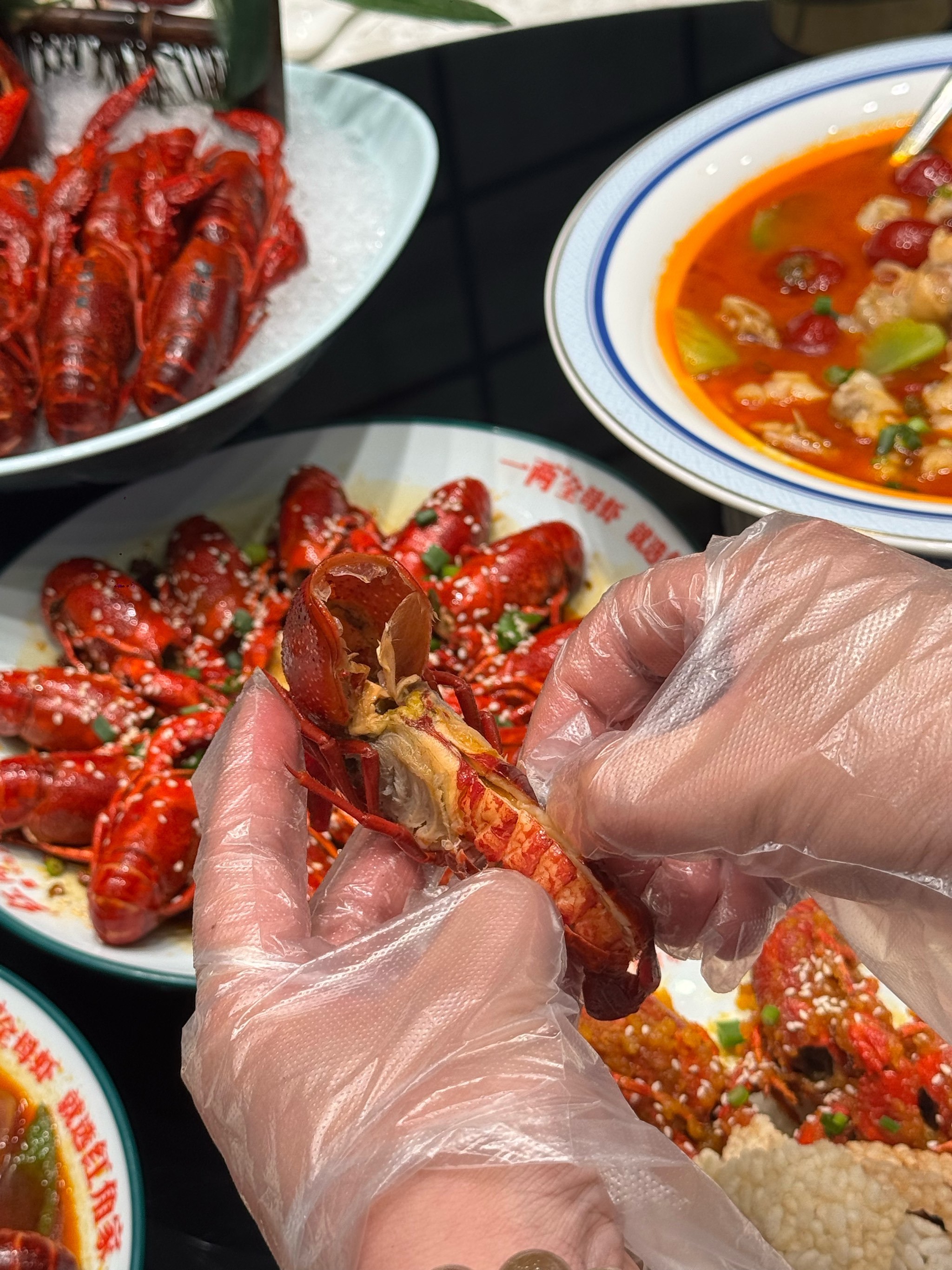 南通龙虾🔝🦞👉🏻红角龙虾!