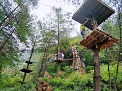 -梦幻奥陶纪景区