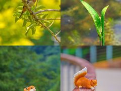 -云溪植物园