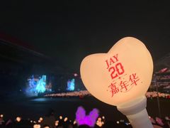 -南京奥林匹克体育中心-体育馆