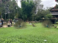 -昆明动物园