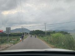 -北岐滩涂