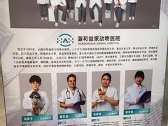 -谐和益家动物医院·免疫绝育·血液透析·宠保定点医院(高新伊藤分院)