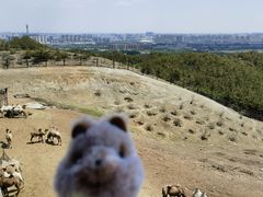 -大青山野生动物园