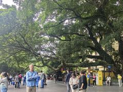 -桂林独秀峰王城景区