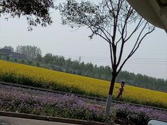 -兰陵国家农业公园