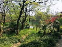 -紫霞湖公园