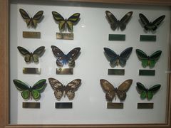 -上海昆虫博物馆