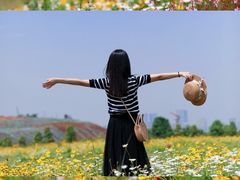 -秀丽东方