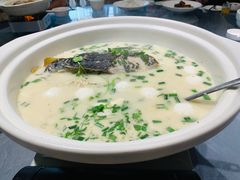 鱼头炖鱼丸汤-又见炊烟私房菜(敬亭路店)