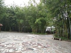 -林丰温泉度假山庄