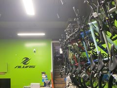 -道路口单车爱瓦士dahon大行