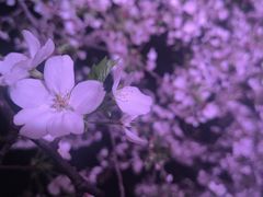 -西北湖绿化广场