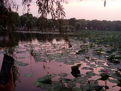 -长春市南湖公园