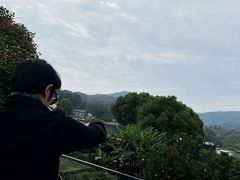-浙江宾馆·花园餐厅·自助餐厅·茶吧