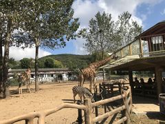 -大连森林动物园