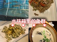 -千岛湖小鱼儿·淳安匠心农家菜