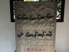 -上海醉白池公园