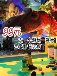 -恐龙探索乐园(磁器口店)